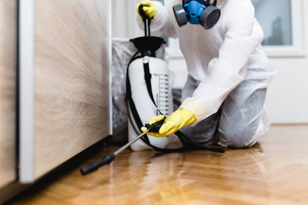 Best Exterminator Services  in Philipsburg, MT