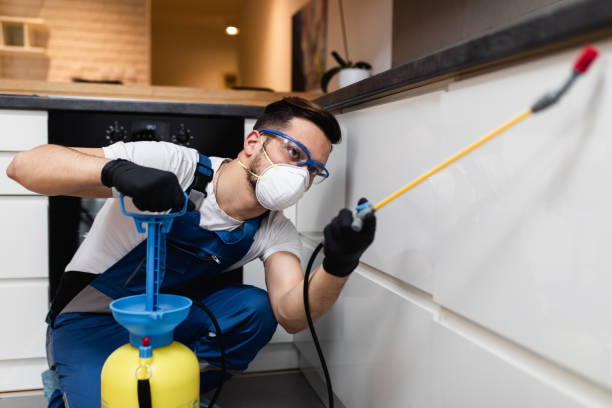 Best Pest Removal Services  in Philipsburg, MT