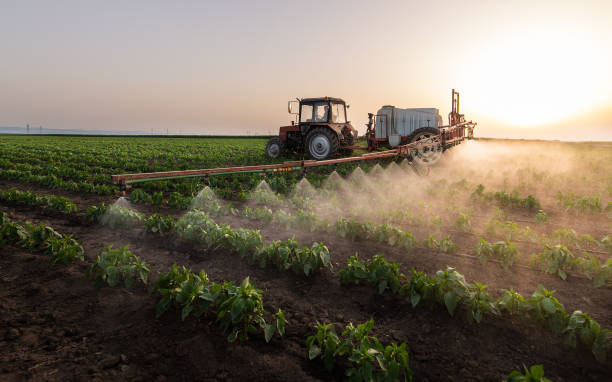 Best Mosquito Control Services  in Philipsburg, MT