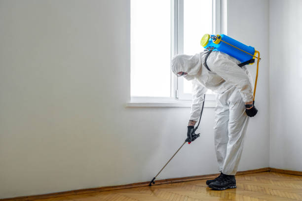 Trusted Philipsburg, MT Pest Control Experts