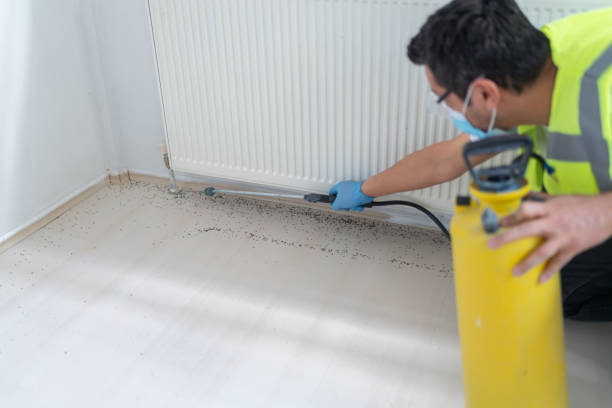 Pest Prevention Services in Philipsburg, MT